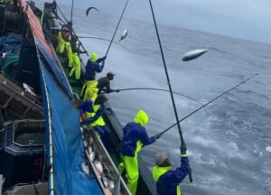 Pescadores de DAKARTUNA extrayendo atunes con técnicas tradicionales.