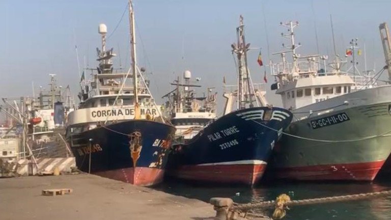 Barcos de pesca de atún en el puerto de Bermeo, listos para zarpar.