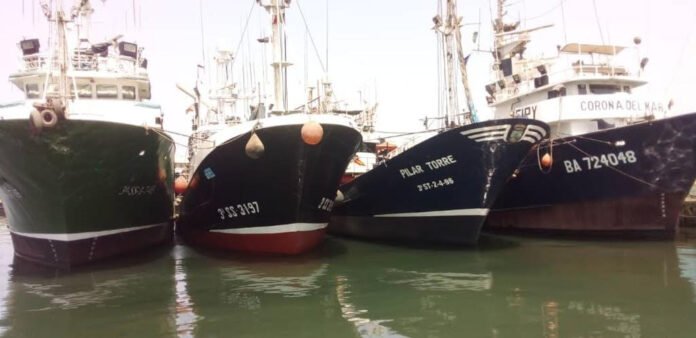 Barcos de pesca de atún en el puerto de Bermeo, listos para zarpar.