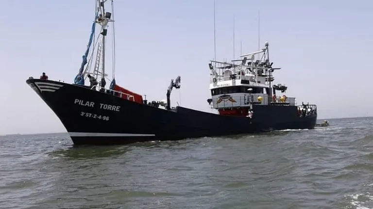 Barcos de pesca de atún en el puerto de Bermeo, listos para zarpar.