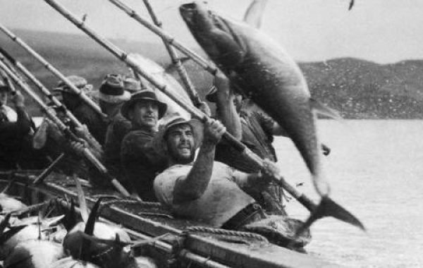 Pescadores de DAKARTUNA extrayendo atunes con técnicas tradicionales.