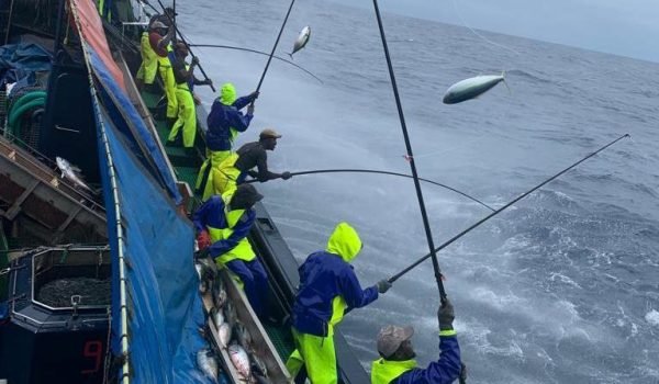 Pescadores de DAKARTUNA extrayendo atunes con técnicas tradicionales.